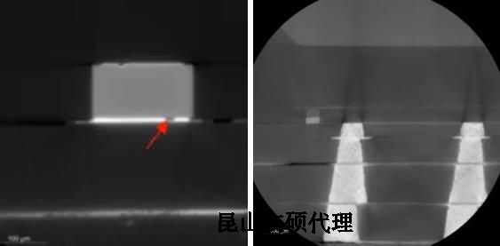 玉树蔡司玉树X射线显微镜